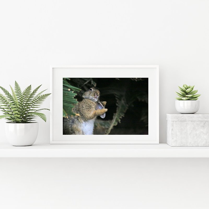 Rabbit Photography Giclee Works-Charming - Posters - Paper Black