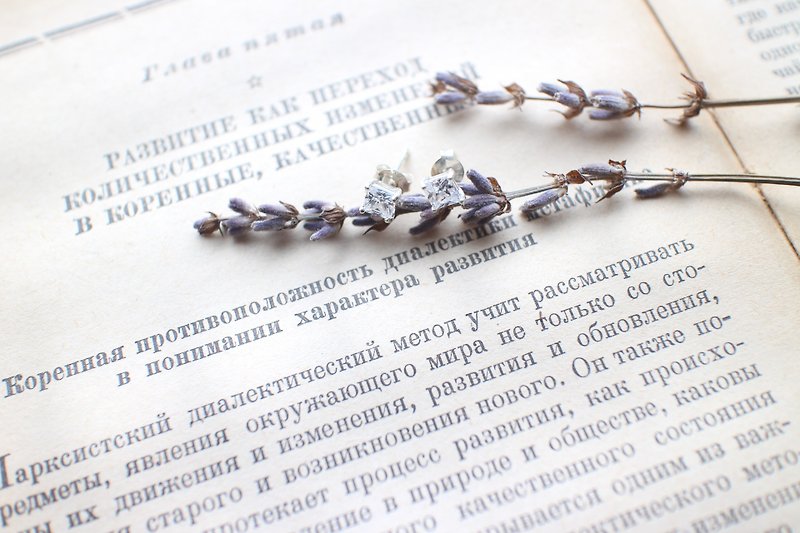 Sugar-zircon silver earrings - ต่างหู - โลหะ 