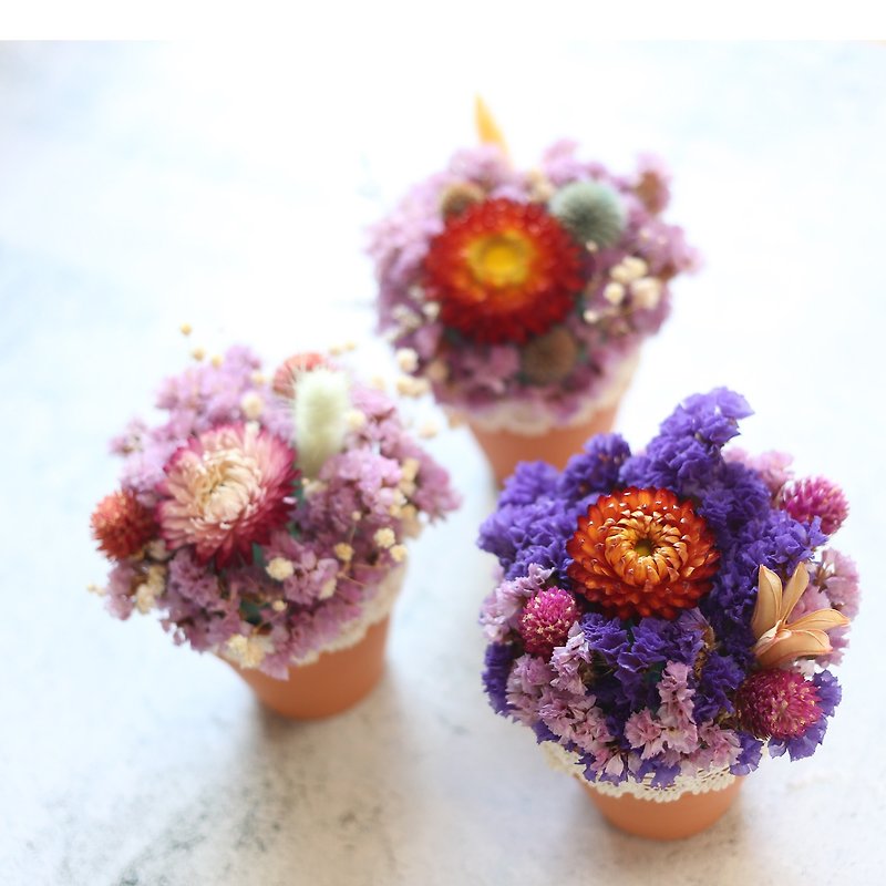 璎珞Manor*T10*Table flower pot flower / eternal flower dry flower / gift preferred / office small things - Plants - Plants & Flowers 