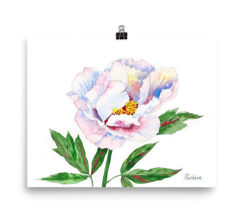 Peony. White and Pink in the Garden, Watercolor Flowers for Gift - 海報/掛畫 - 紙 粉紅色