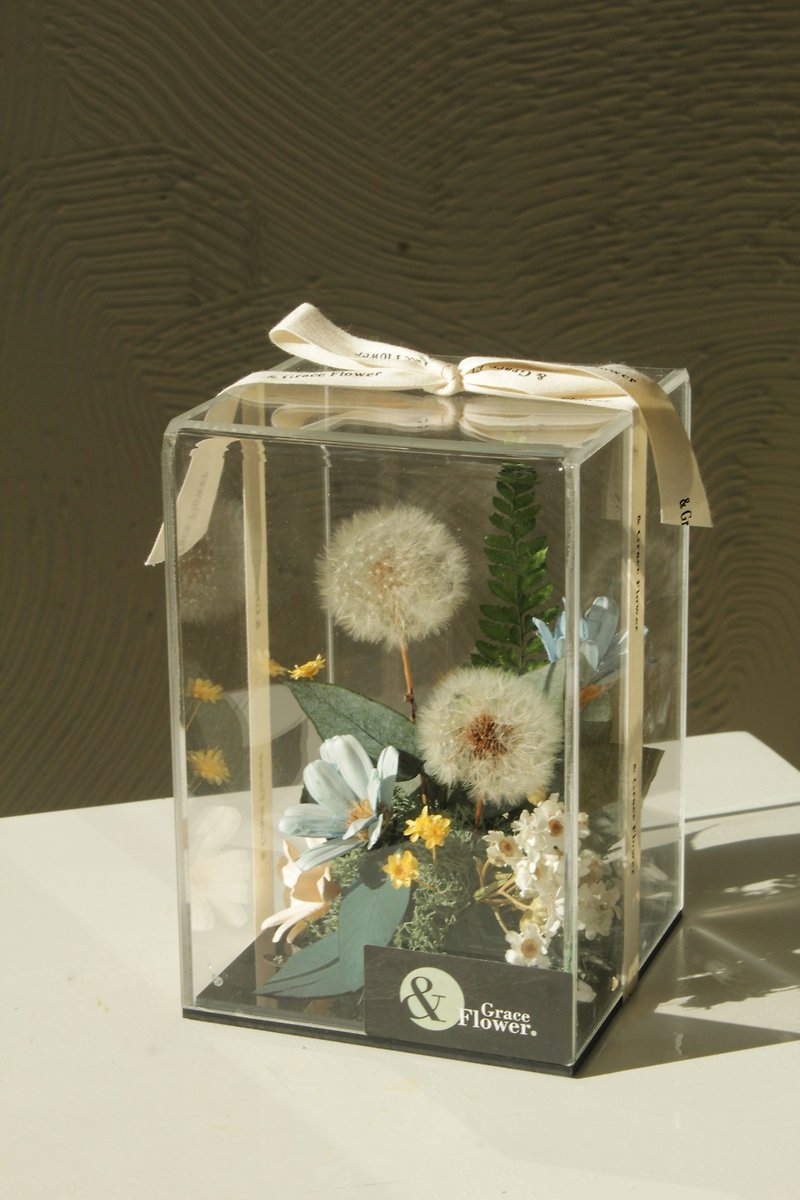 Light of Hope [Eternal Dandelion Flower Box]