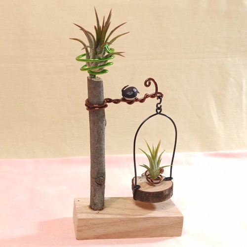 Planter art 植物玩藝 【期待】小株空氣鳳梨鳥籠造型底座