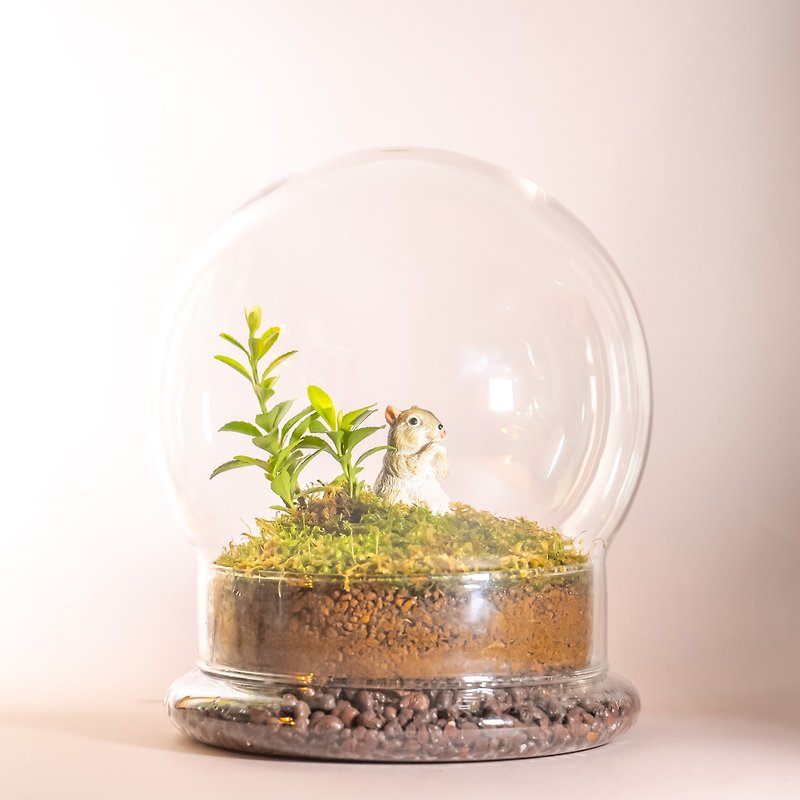 Moss and Gacha Series – Animal’s Space Base - Plants - Glass Green