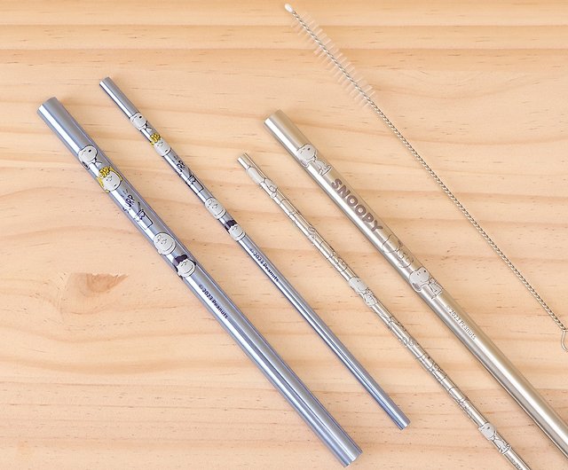 What You Need to Know About Metal Straws and Reusable Straws - Zine, Pinkoi