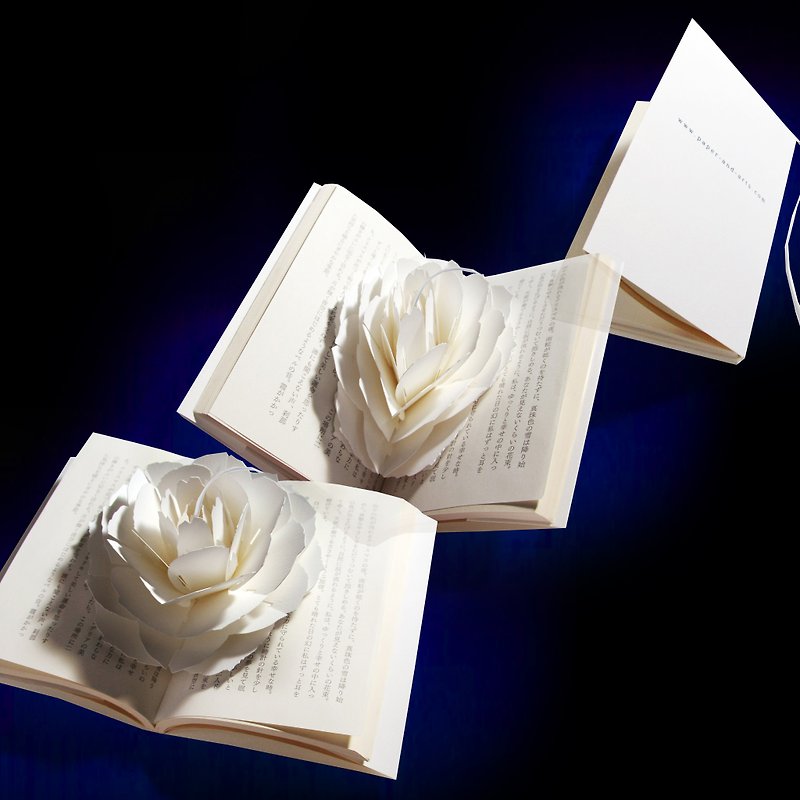 紙の花のしおり　ポップアップペーパーブックマーク   ローズ - 書籤 - 紙 白色