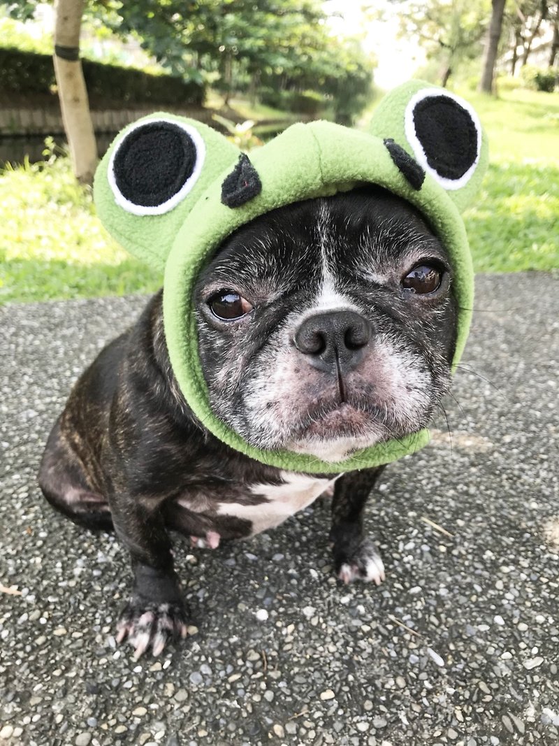 呱呱青蛙帽 - 寵物衣服 - 棉．麻 多色