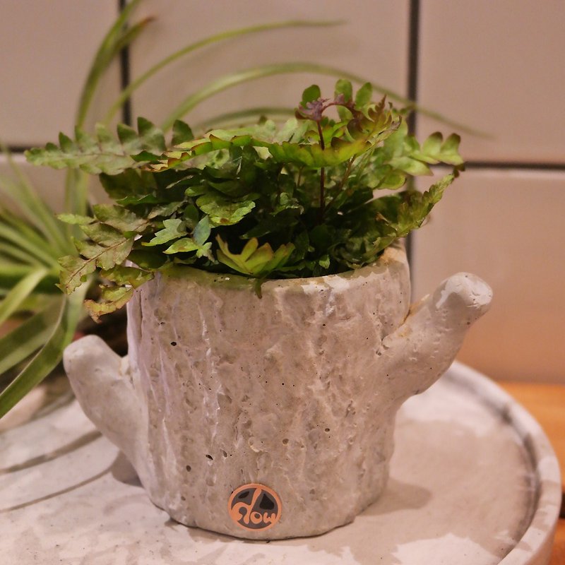 Peas succulents and small groceries - handmade clay pot tree - gray - Plants - Cement Gray