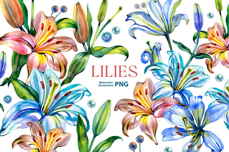 Watercolor lilies clipart set, 10 Png, Watercolor Lily Clipart, lilies in PNG - 電子手帳及素材 - 其他材質 