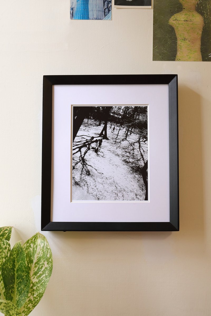 Winter Love Song - คอลเลกชันรูปถ่าย - กระดาษ 