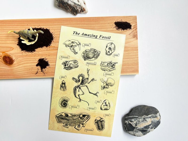 Original Design White Sticker - The Amazing Fossil by Seed Cone X The Penguin - สติกเกอร์ - วัสดุกันนำ้ ขาว