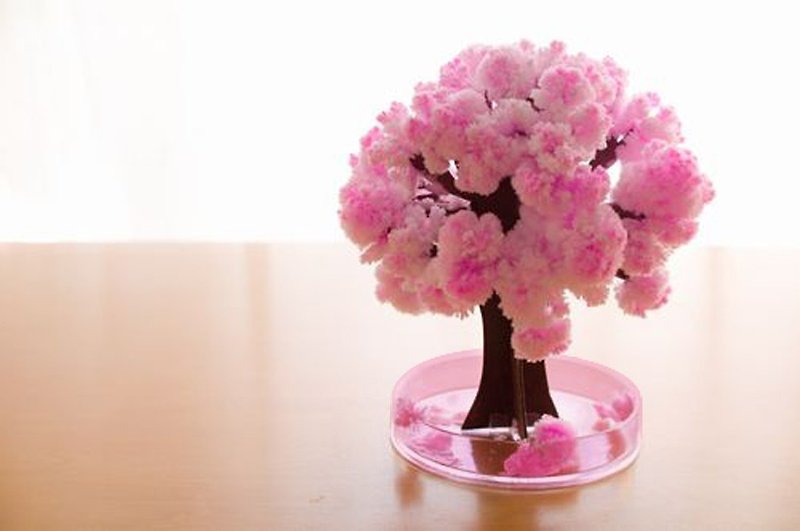 Magic Sakura (Small/10cm)-Exclusive Sakura Fragrance - Wood, Bamboo & Paper - Paper 