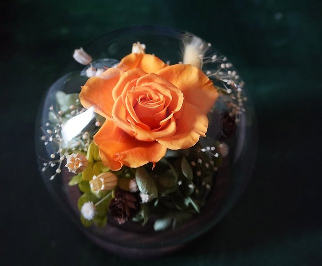 バラ保存フラワーガラスカバースモールガーデンドライフラワーギフト ショップ Cing Flower ドライフラワー ブーケ Pinkoi