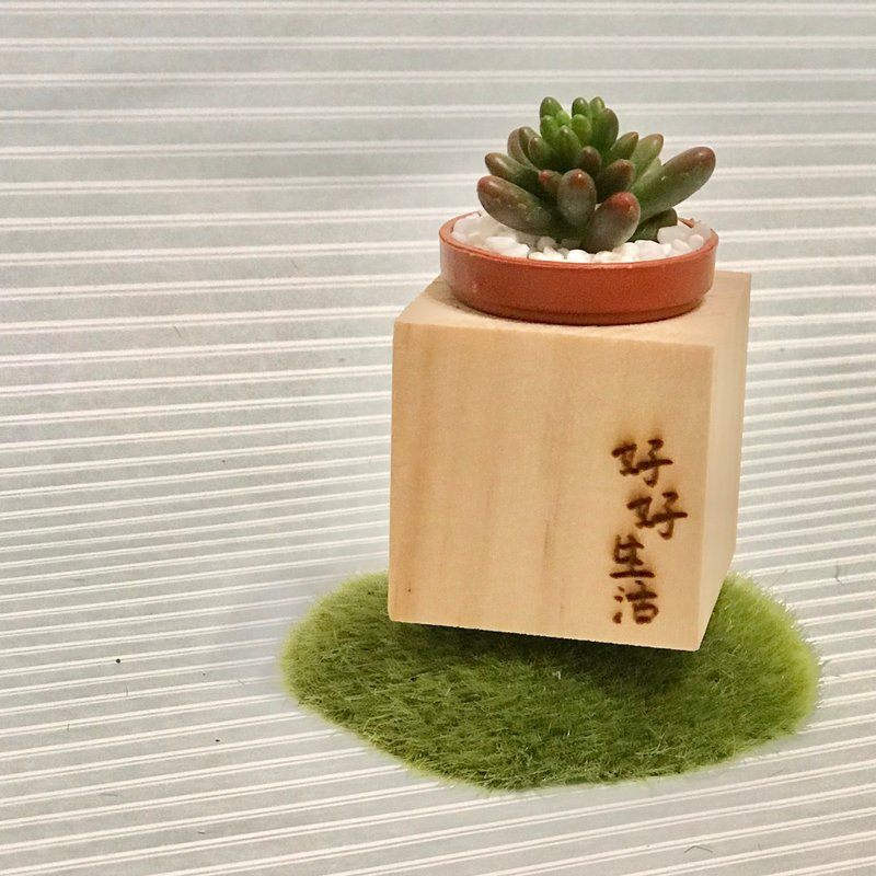 迷你松木磁鐵盆栽 手寫系列 好好生活 - 盆栽/植栽 - 木頭 咖啡色