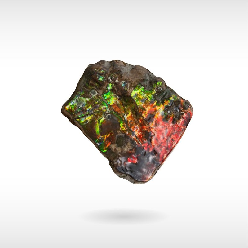 Freeform Ammolite - Handheld - Items for Display - Gemstone 