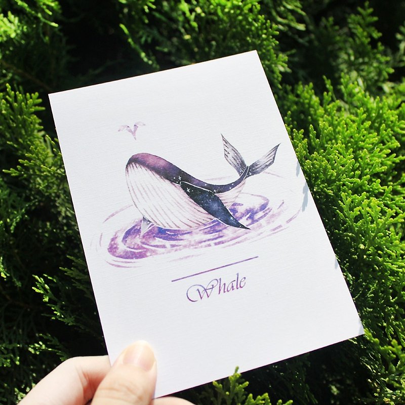 whale postcard - การ์ด/โปสการ์ด - กระดาษ สีม่วง