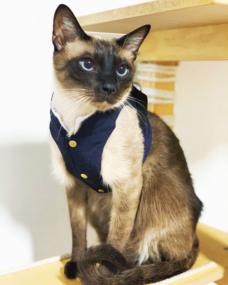 高校制服胸背帶 【貓狗通用】寵物胸背 - 寵物衣服 - 其他材質 