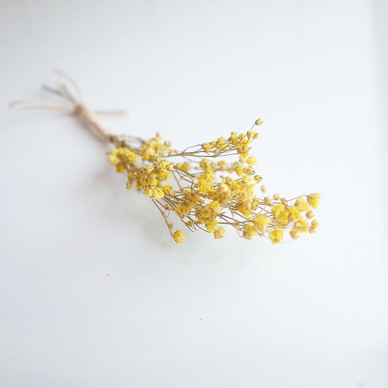 【Q-cute】乾燥花小花束系列-黃滿天星 - 裝飾/擺設  - 植物．花 黃色
