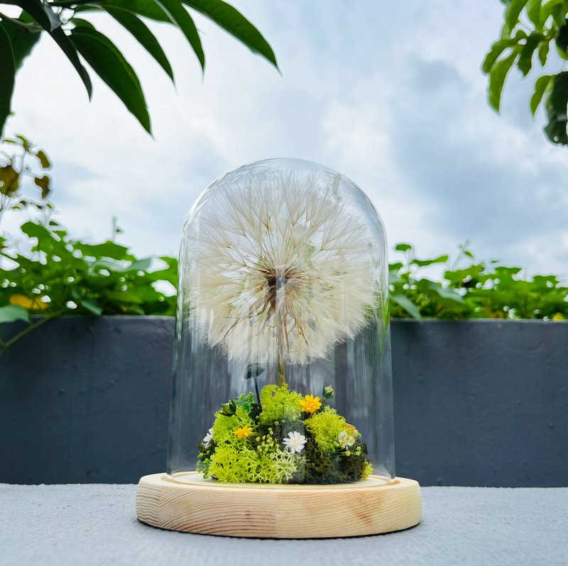 山丘上的蒲公英樹 魔法森林 魔法樹 永生花 綠野仙蹤 - 擺飾/家飾品 - 植物．花 