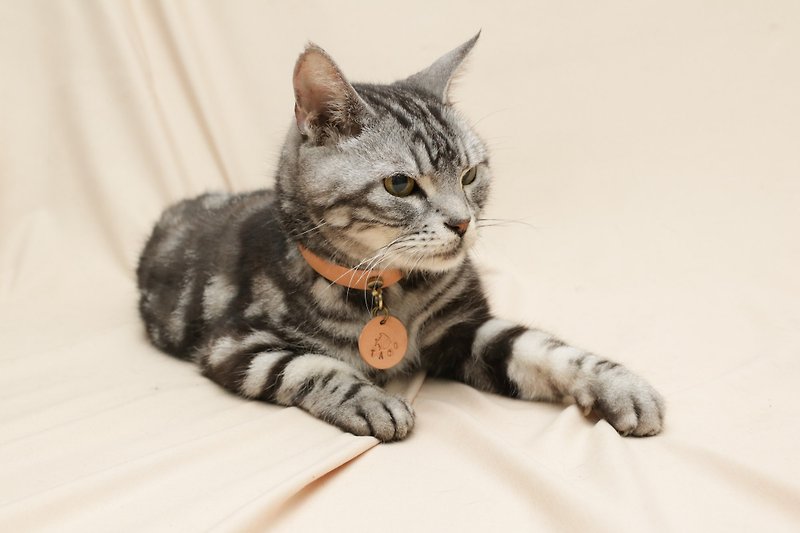 [95% off discount for two people] DIY pet collar course_Cat and dog collar making (free engraving) - เครื่องหนัง - หนังแท้ 