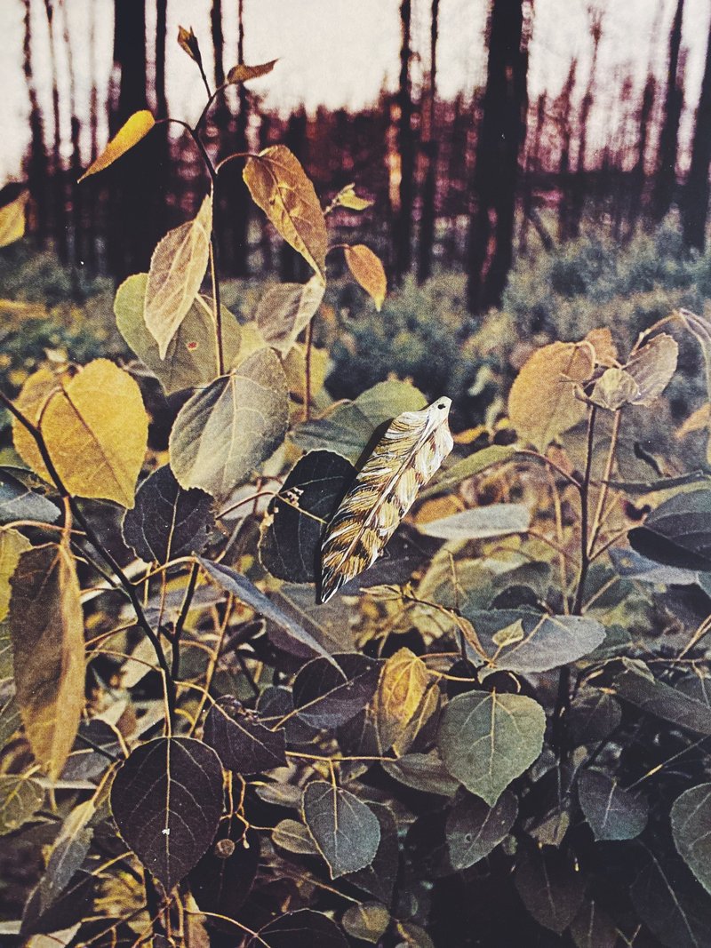 木刻手繪墜飾 - 羽毛 - 其他 - 木頭 卡其色