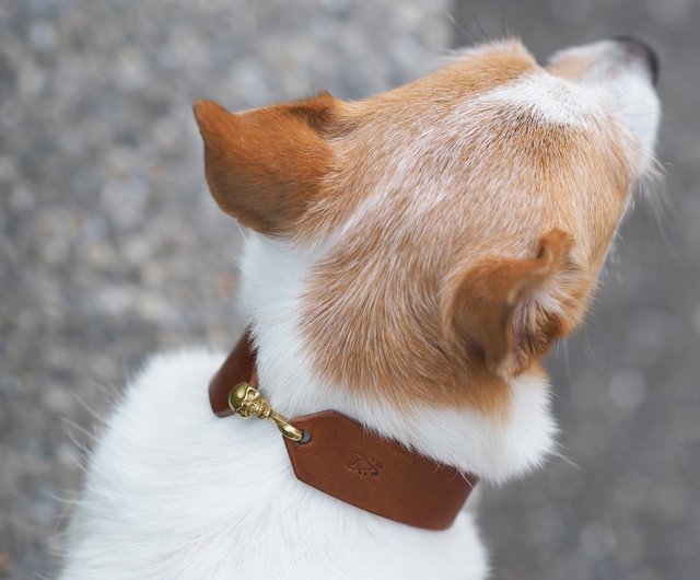 Leather Pet Collar vs. Bracelet for Man│Parent-Child Collar vs.  Bracelet│Limited - Shop Miley's Handmade Pets Collar Collars & Leashes -  Pinkoi