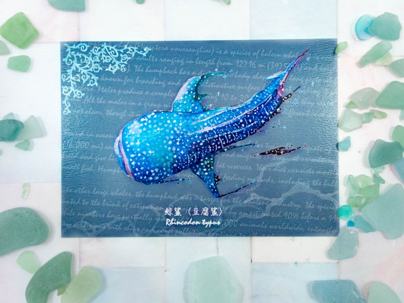 Watercolor starry whale shark postcard - Cards & Postcards - Paper Blue