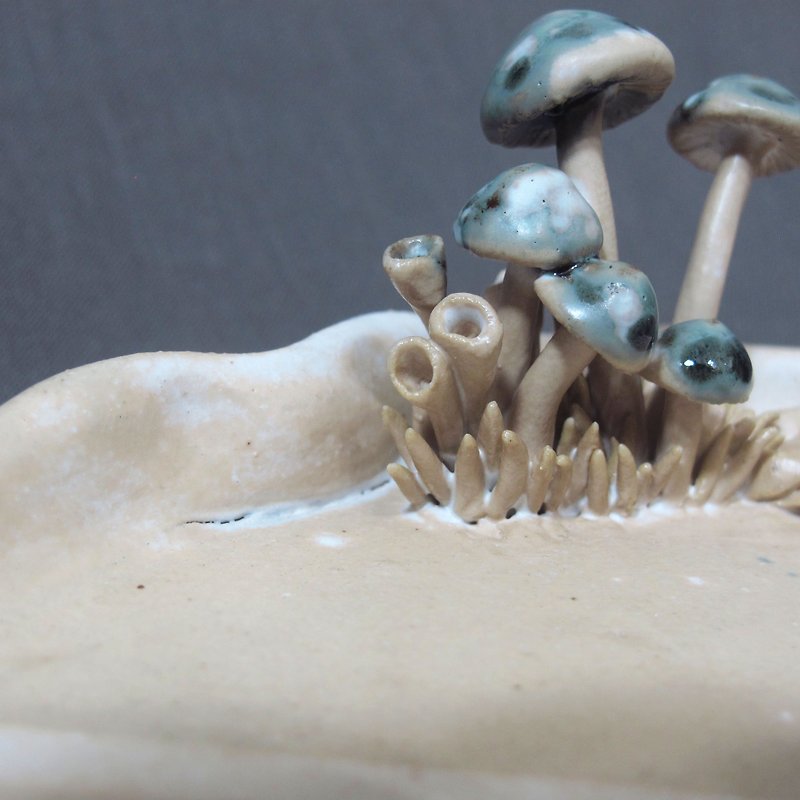 Hand pinch wild mushroom dish 03 - Pottery & Ceramics - Pottery White