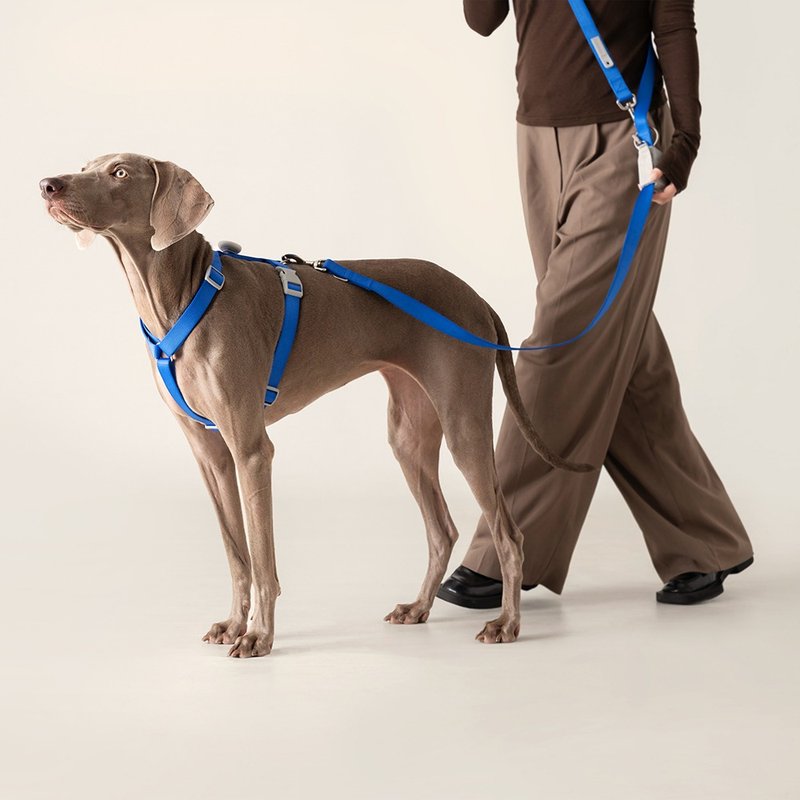 【tails&me 尾巴與我】新經典系列 犬H型胸背帶(單色 共6色) - 項圈/牽繩 - 尼龍 多色