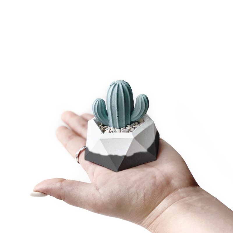 (Pre-order) Jet Black Series | Cactus-shaped Cement diffuser Stone combination office planter for lazy people - ของวางตกแต่ง - ปูน สีดำ