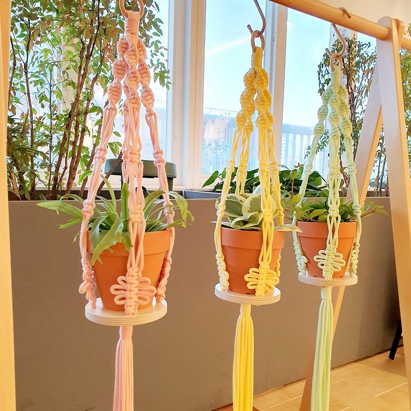 Color plant hanger - ตะขอที่แขวน - วัสดุอื่นๆ 