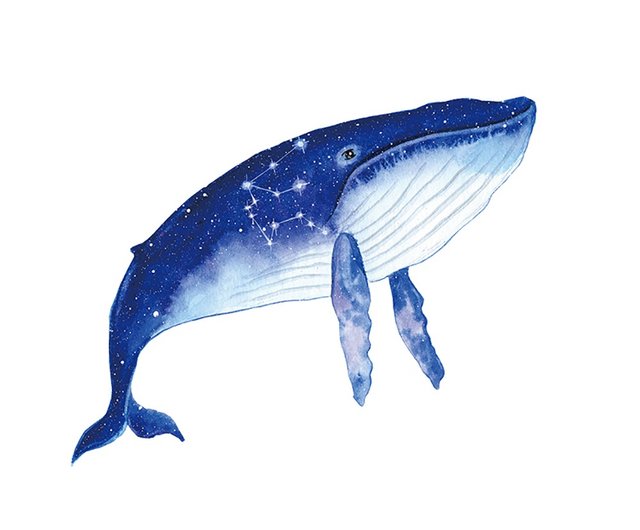 ジョイントイラストウォッチ - 星座クジラ