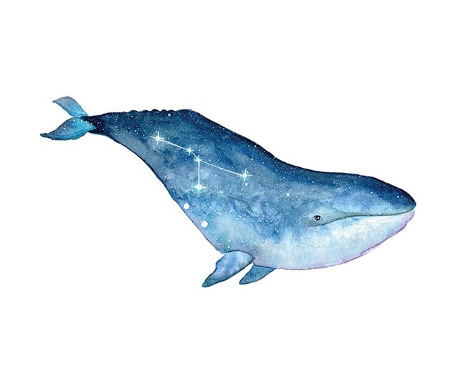 Manuhanaさま専用（原画）星を運ぶクジラ　ほか　4点おまとめ ネイチャーテクニカラー400 クジラとイルカ』発売。圧巻の品質で