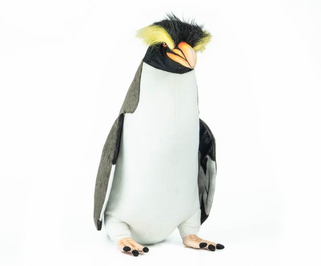 本物剥製] イワトビペンギン 身長39cm 台座付き : 良品倶楽部