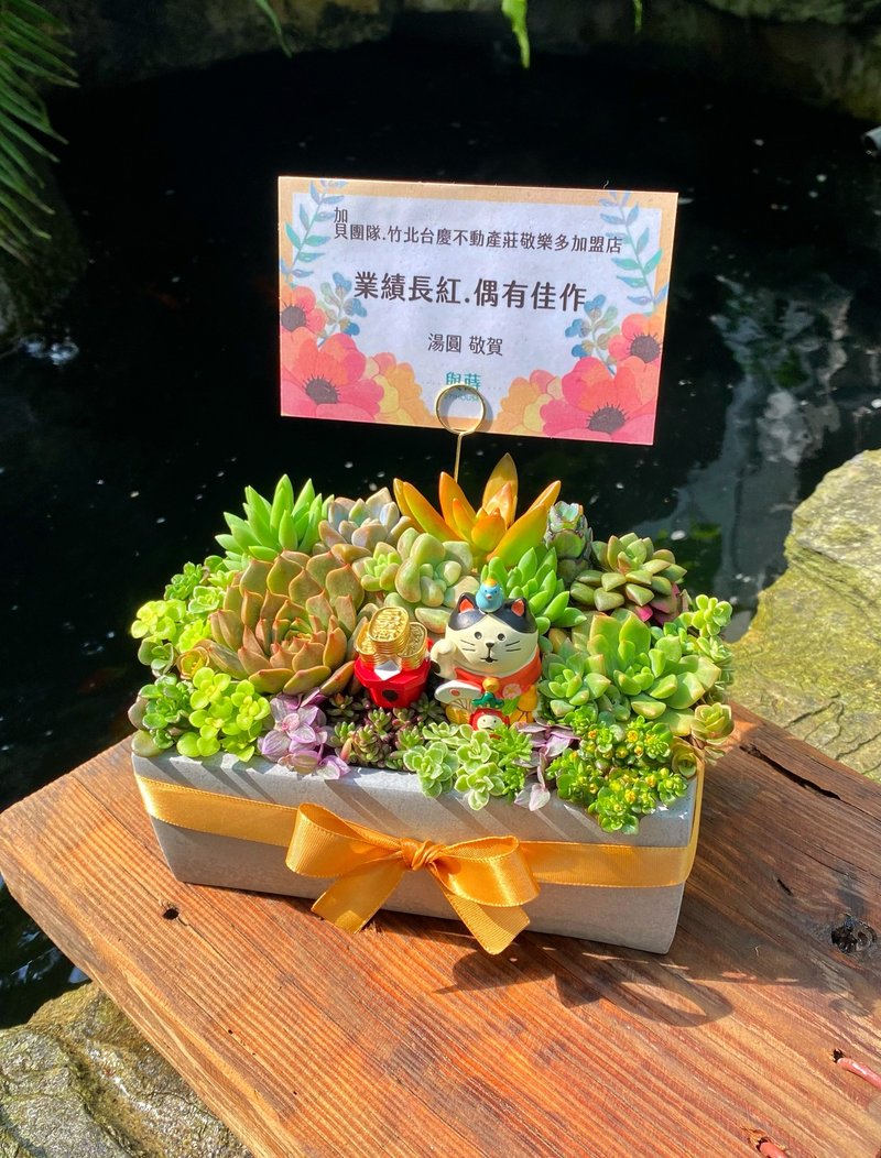 [Urgent orders available] Free customized cards/safe delivery/succulent potted plants/ Cement pots/opening promotion flowers - Plants - Plants & Flowers Green