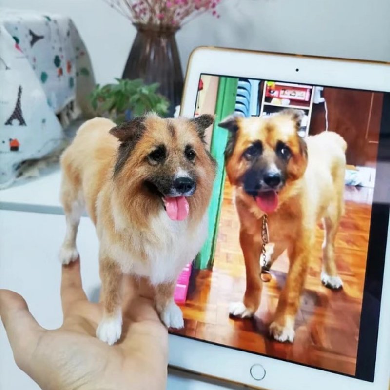 客制化逼真犬 羊毛氈 寵物 娃娃 定制 手工 狗狗猫咪 毛小孩  74 - 貓/狗玩具 - 羊毛 多色