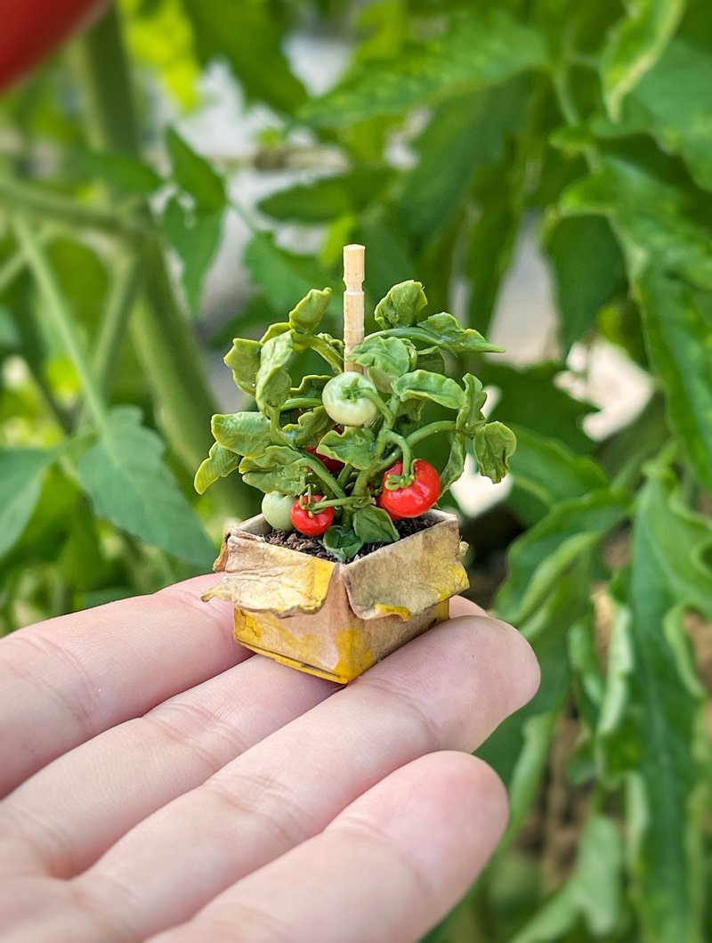 Miniature garden tomato seedlings in a cardboard box - 公仔/玩偶 - 其他金屬 多色