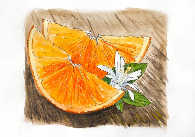 Orange Painting Fruit Original Artwork Orange Watercolor Wall Art Still Life - 海報/掛畫/掛布 - 紙 橘色