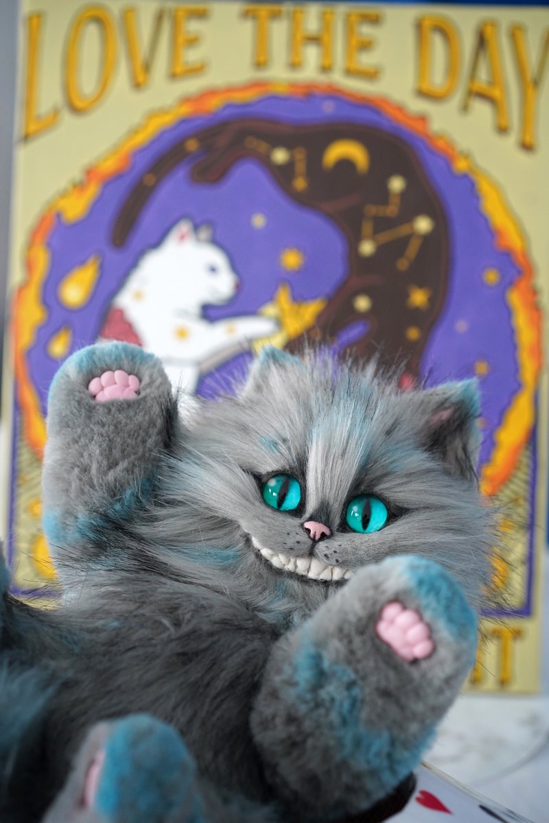 cheshire cat - 公仔/玩偶 - 其他材質 多色