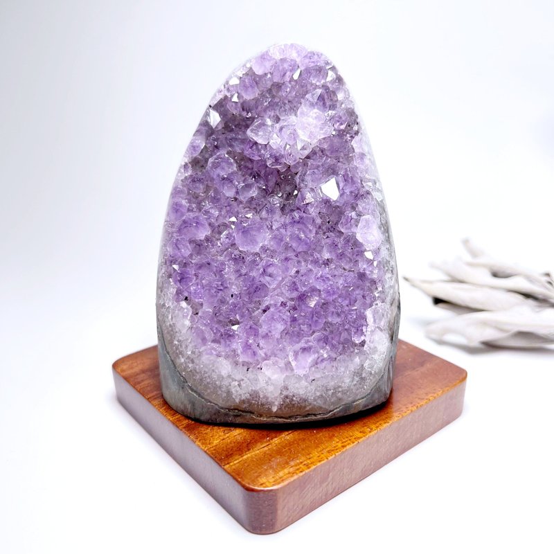 獨花。 一圖一物 療癒 擺件 淨化 貴人 l 紫晶鎮 紫水晶 黑碧璽 l - 擺飾/家飾品 - 水晶 紫色