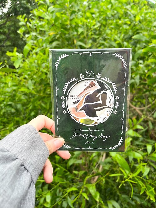 園丁鳥 bowerbird 香港城市野鳥圖鑑第一集 和紙貼紙