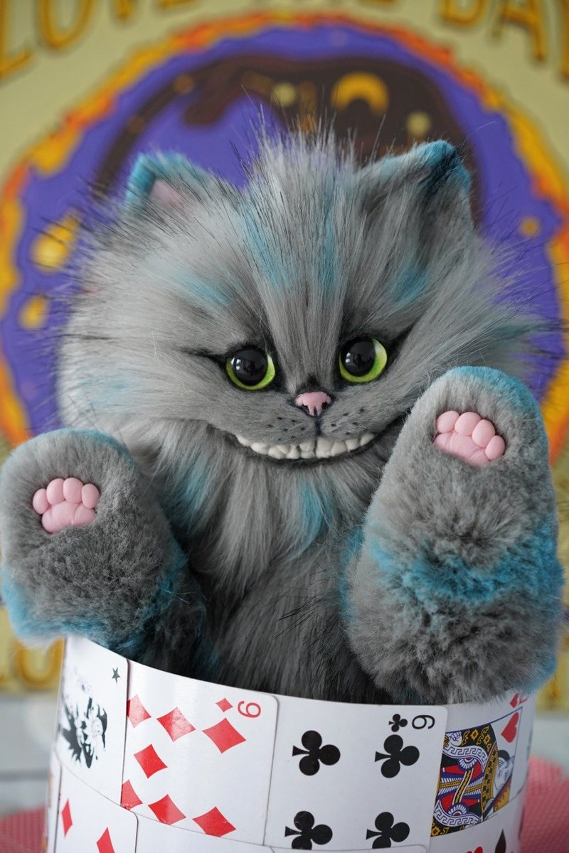 Cheshire Cat - 玩偶/公仔 - 其他材質 多色