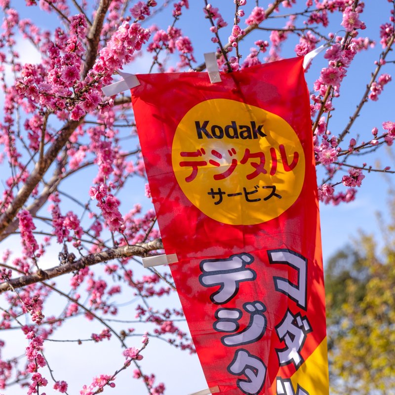 Kodak KODAK advertising commemorative banner straight type made by Sang Hui Company in Showa Japan - Items for Display - Silk Multicolor