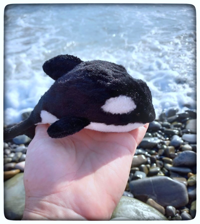 Killer whale,stuffed toy,marine life,whale,dolphin,toys.Christmas Gift Wrapping. - Stuffed Dolls & Figurines - Other Metals Black