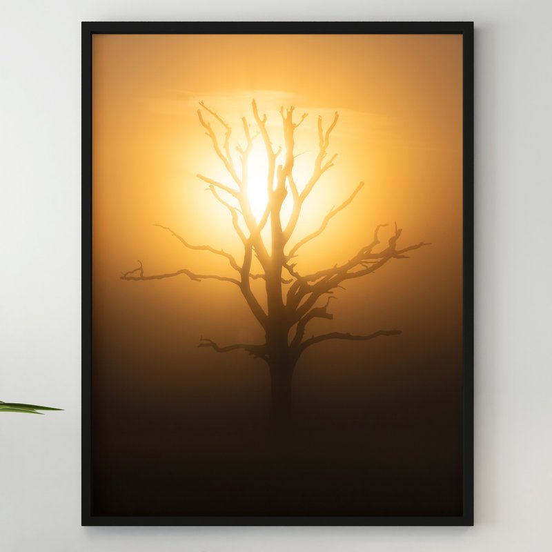 Sunset Sky Wall Poster, Printable Digital Sunset Art, Burning Giant Tree Photo - Posters - Paper 