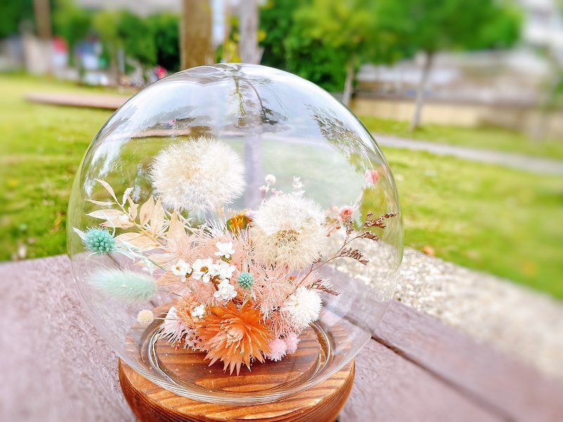 Miss. Flower puzzle dandelion night light glass cover glass cup preserved flower dried flower - ช่อดอกไม้แห้ง - พืช/ดอกไม้ ขาว