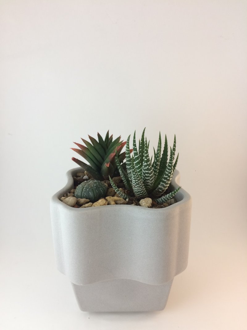 小慢花器 - 盆栽/植栽 - 其他材質 白色