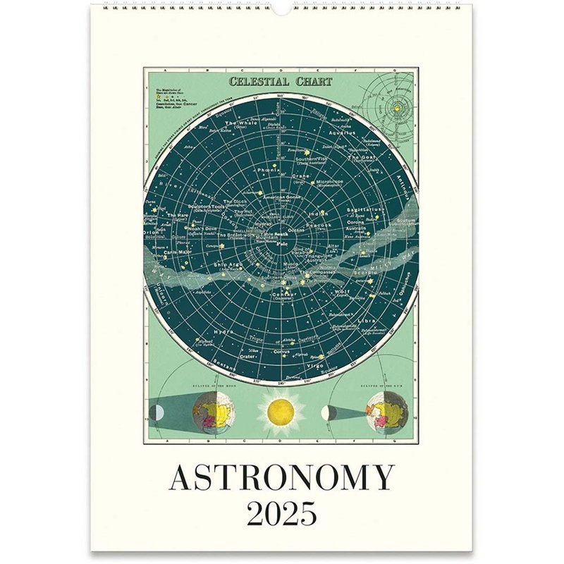 Cavallini & Co. 2025 Annual Calendar/Wall Calendar_Celestial Chart - Calendars - Paper Multicolor