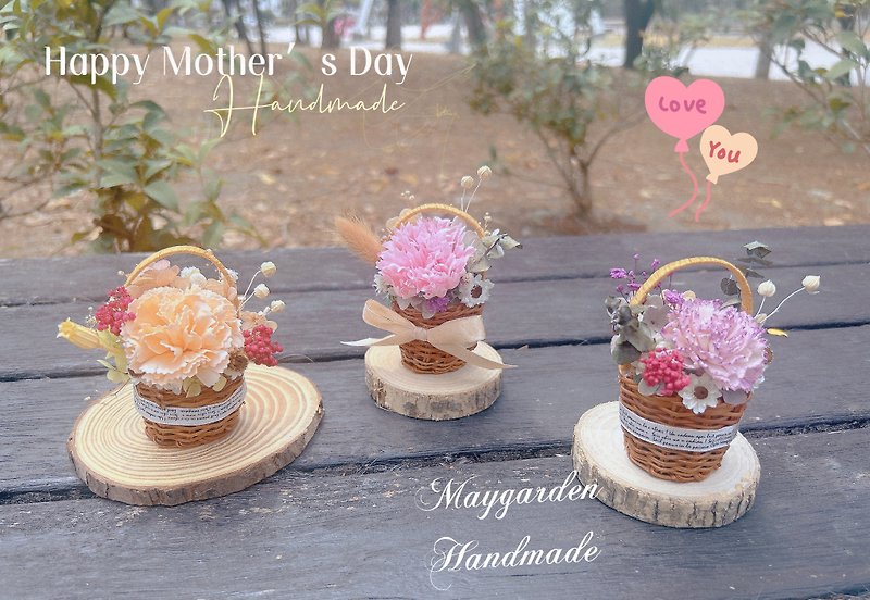 Mothers Day carnation  Single Flower  Simple - Dried Flowers & Bouquets - Plants & Flowers Multicolor