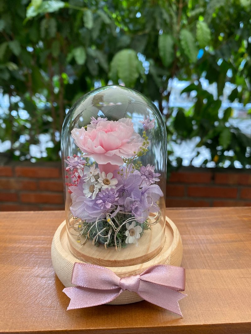 母親節禮盒 永生康乃馨 迷你發光玻璃罩 - 乾燥花/永生花 - 植物．花 