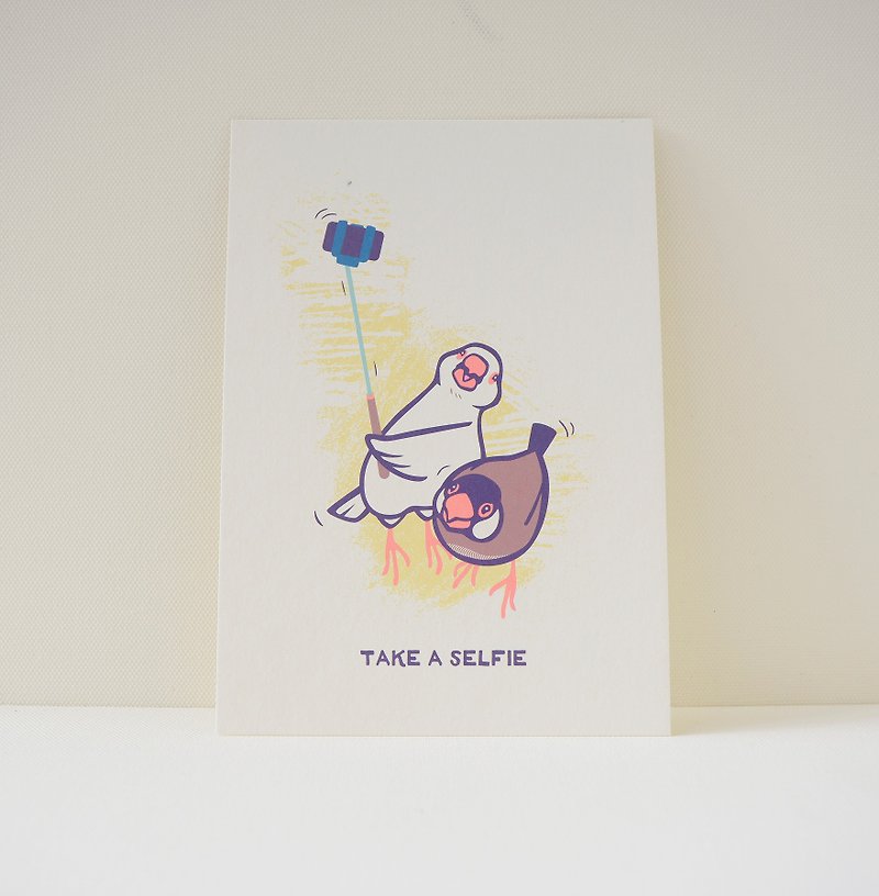 postcard:Java Sparrow - “Take A Selfie” - การ์ด/โปสการ์ด - กระดาษ ขาว